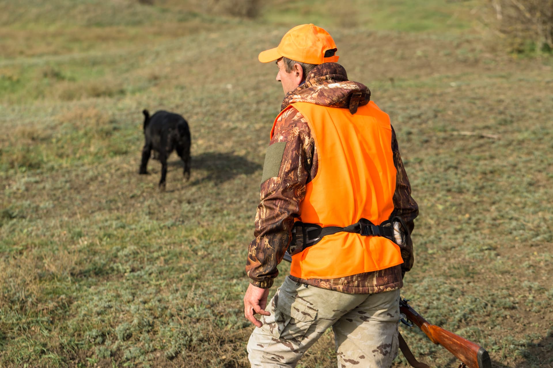 Hunter in autumn field with dog searching for wild birds in Norway