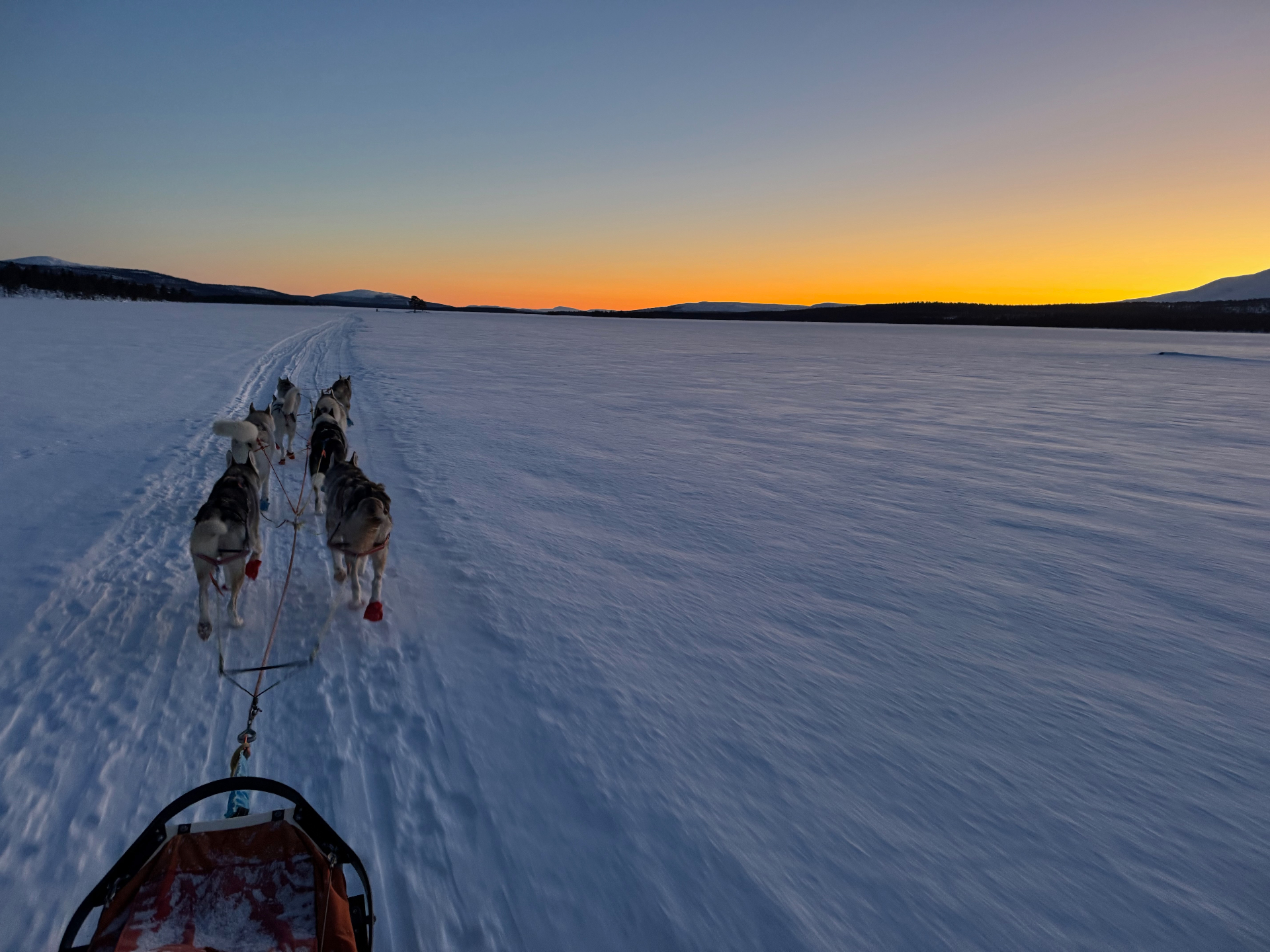 Husky team crossing a frozen lake at dusk near Femund lake, with orange horizon and distant mountains
