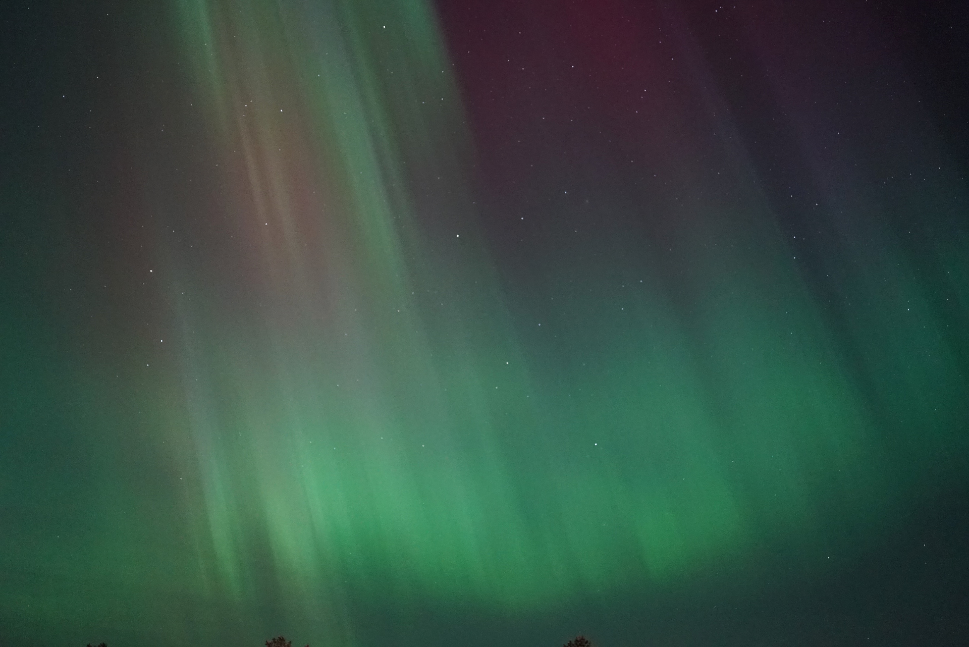 Multicolored aurora curtain with green and magenta hues above Drevsjø