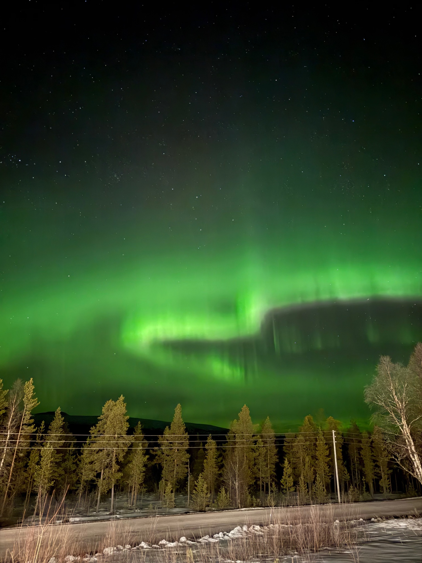 Aurora arc glowing over trees and snow along the road at Forest Ranger Farm