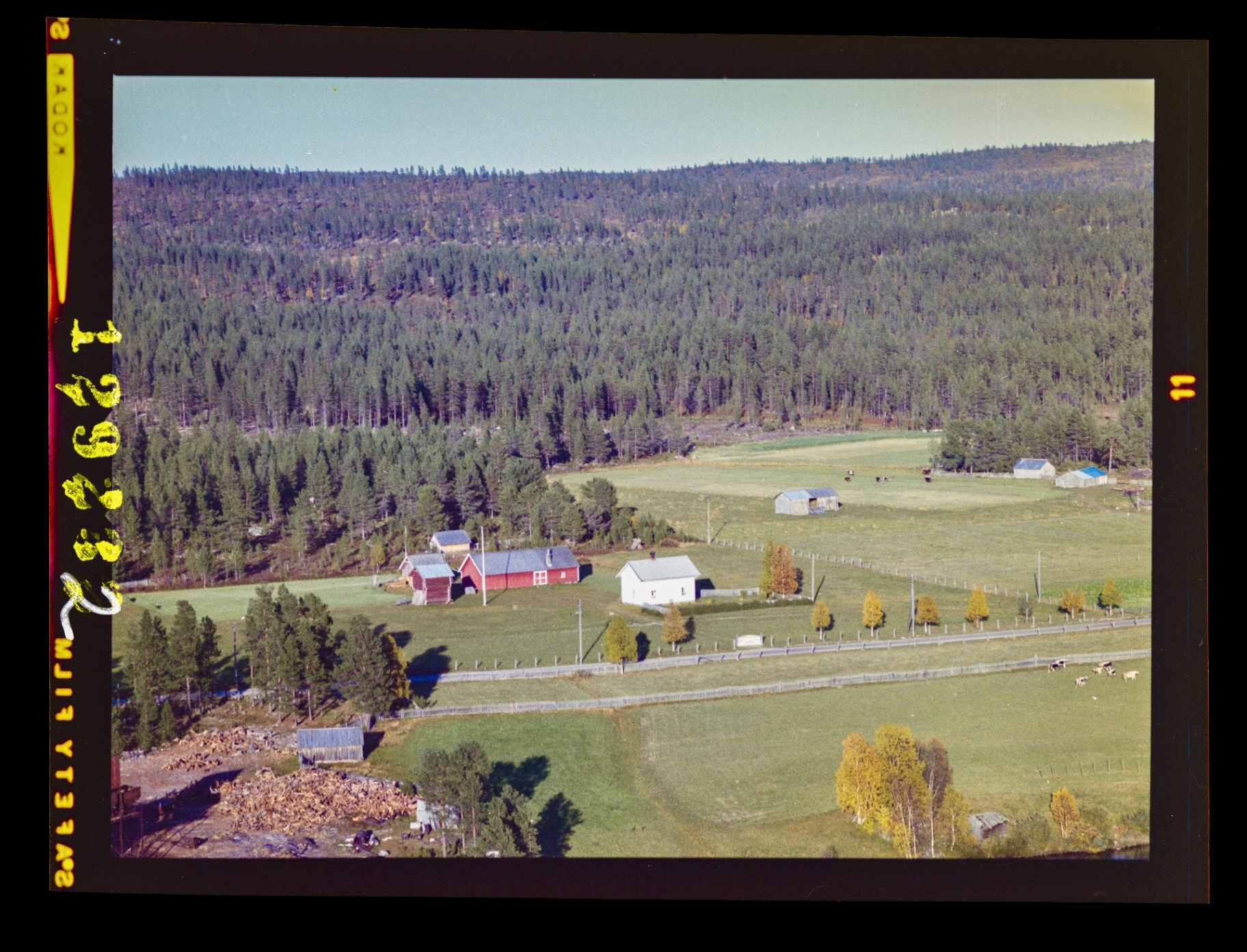 Aerial view of Forest Ranger Farm in 1963 with red barn and white timber house