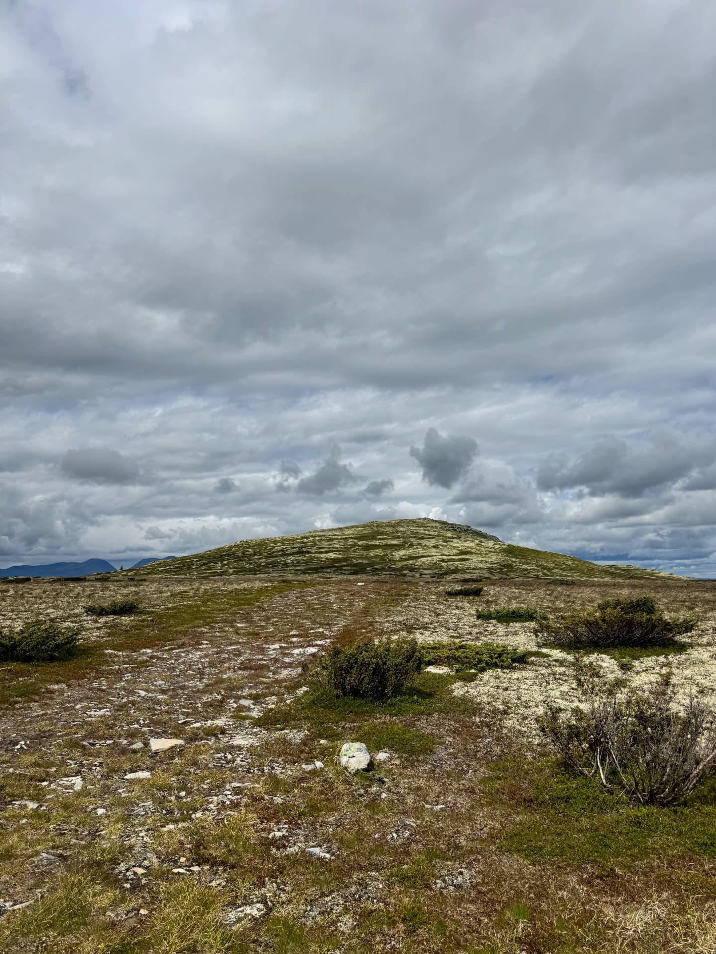 Gentle rounded summit of Søndre Kvitvolaknappen rising above the mossy plateau