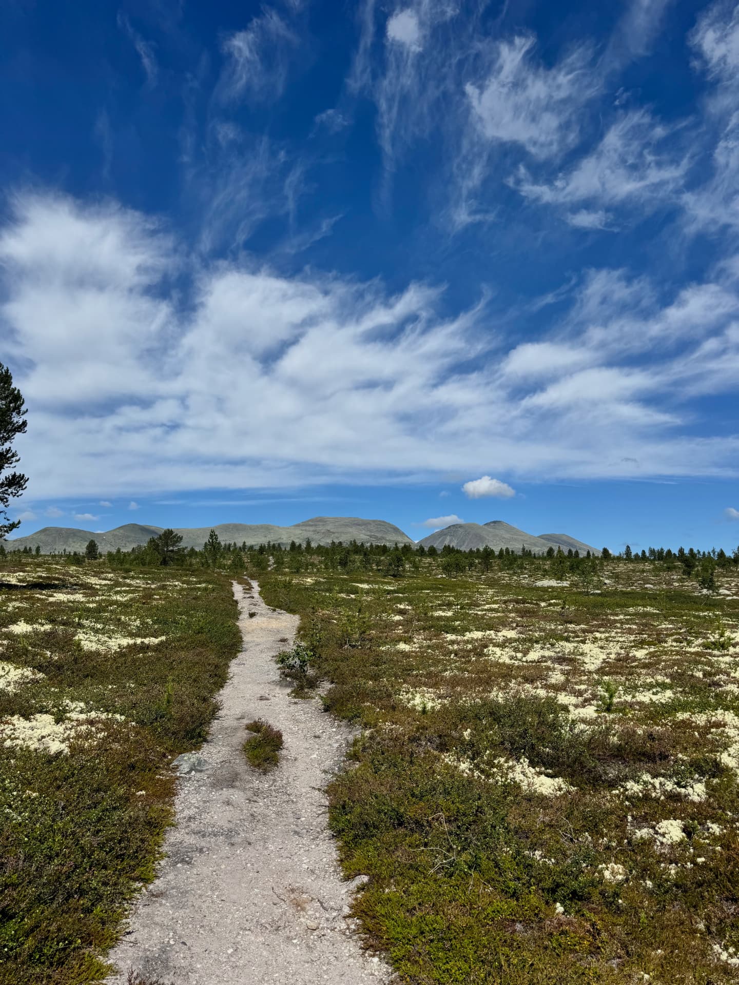 Sandy trail leading through low heather and reindeer lichen towards the Sølen mountains under a big cloud-streaked sky