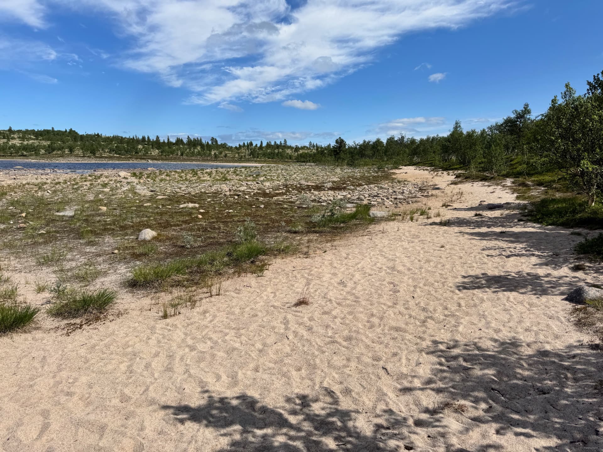 Sandy beach beside a small mountain lake with birch and pine on the shore under a blue sky