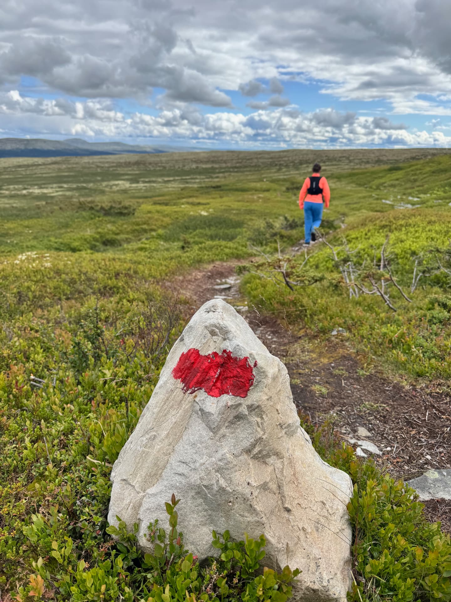 A red trail marker painted on a stone with a hiker walking ahead across the open plateau