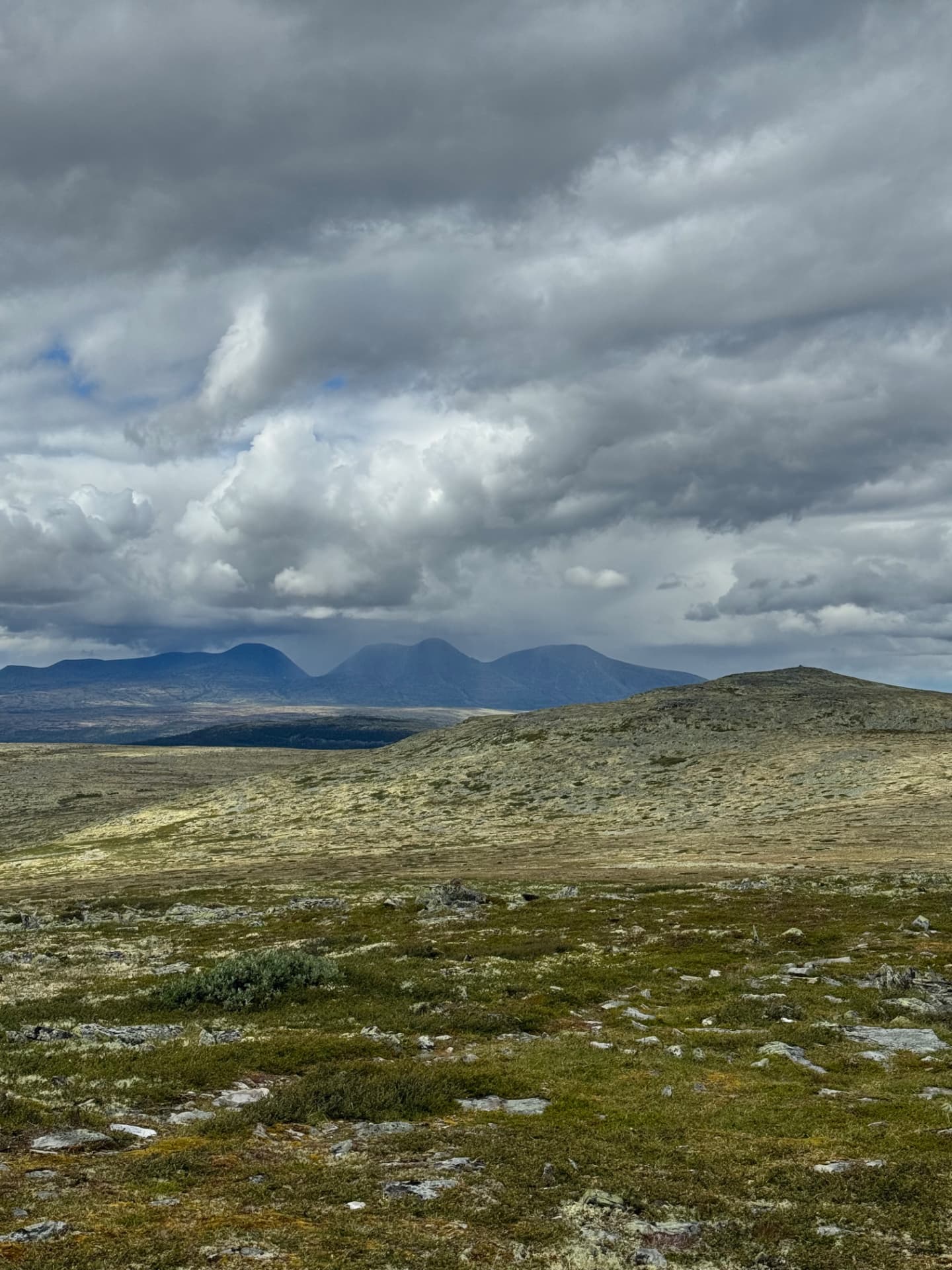 View across the plateau toward Nordre Kvitvolaknappen with the distinctive silhouette of Mount Sølen on the horizon